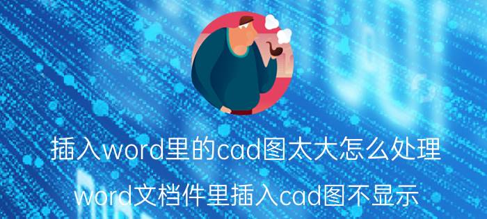 插入word里的cad图太大怎么处理 word文档件里插入cad图不显示？